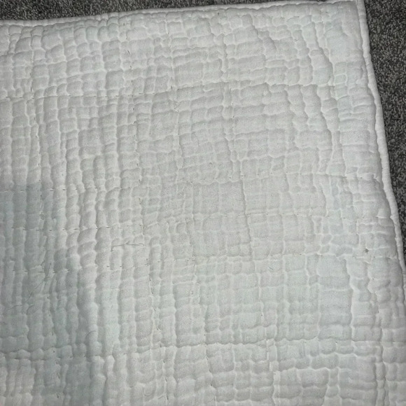 ANTHROPOLOGIE  Airy Gauze EURO Quilted Shams, Set of 2 - Picture 7 of 12